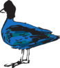 Blue Duck Clip Art